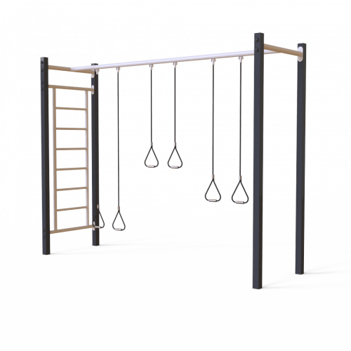 Комплекс ТРХ